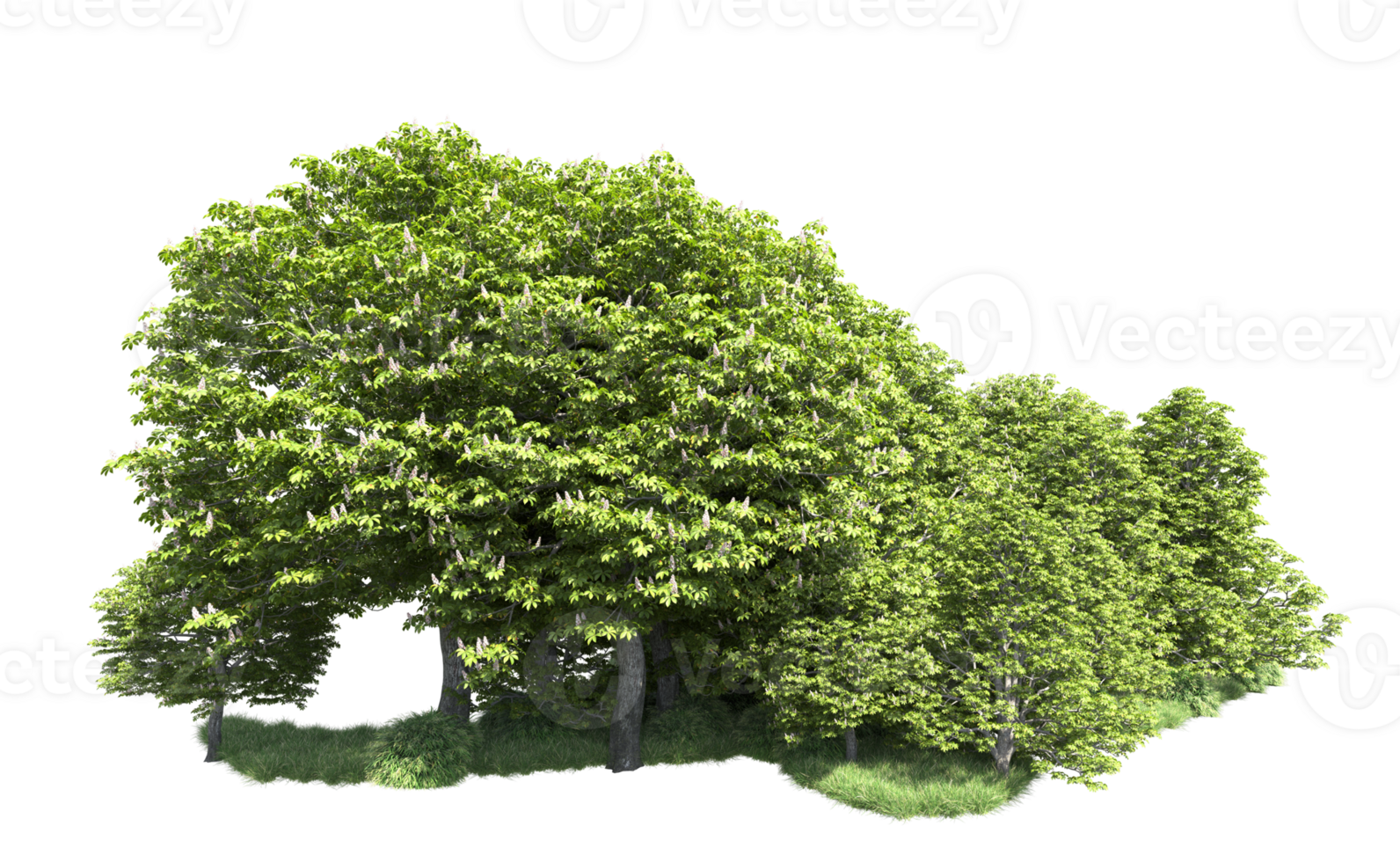 Green forest isolated on background. 3d rendering - illustration png