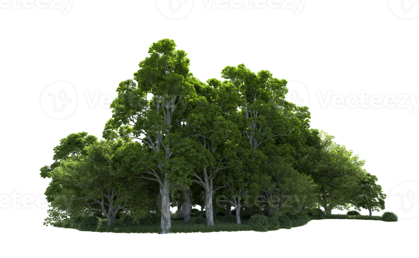 Green forest isolated on background. 3d rendering - illustration png