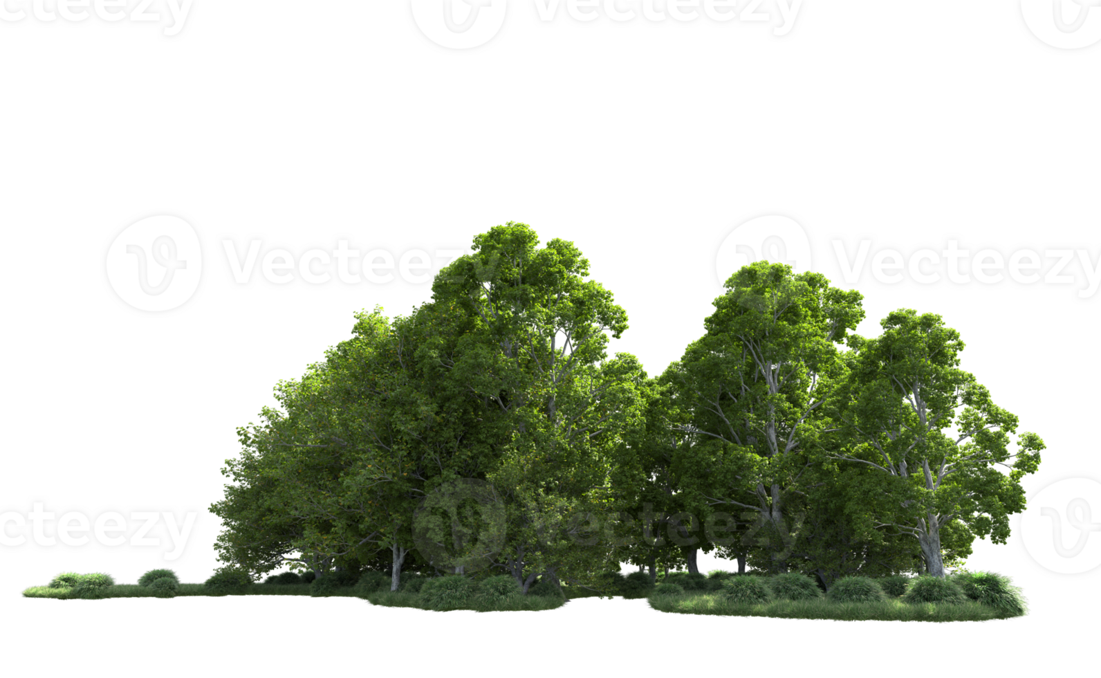 Green forest isolated on background. 3d rendering - illustration png