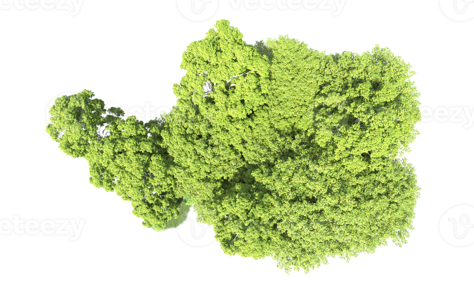 Green forest isolated on background. 3d rendering - illustration png