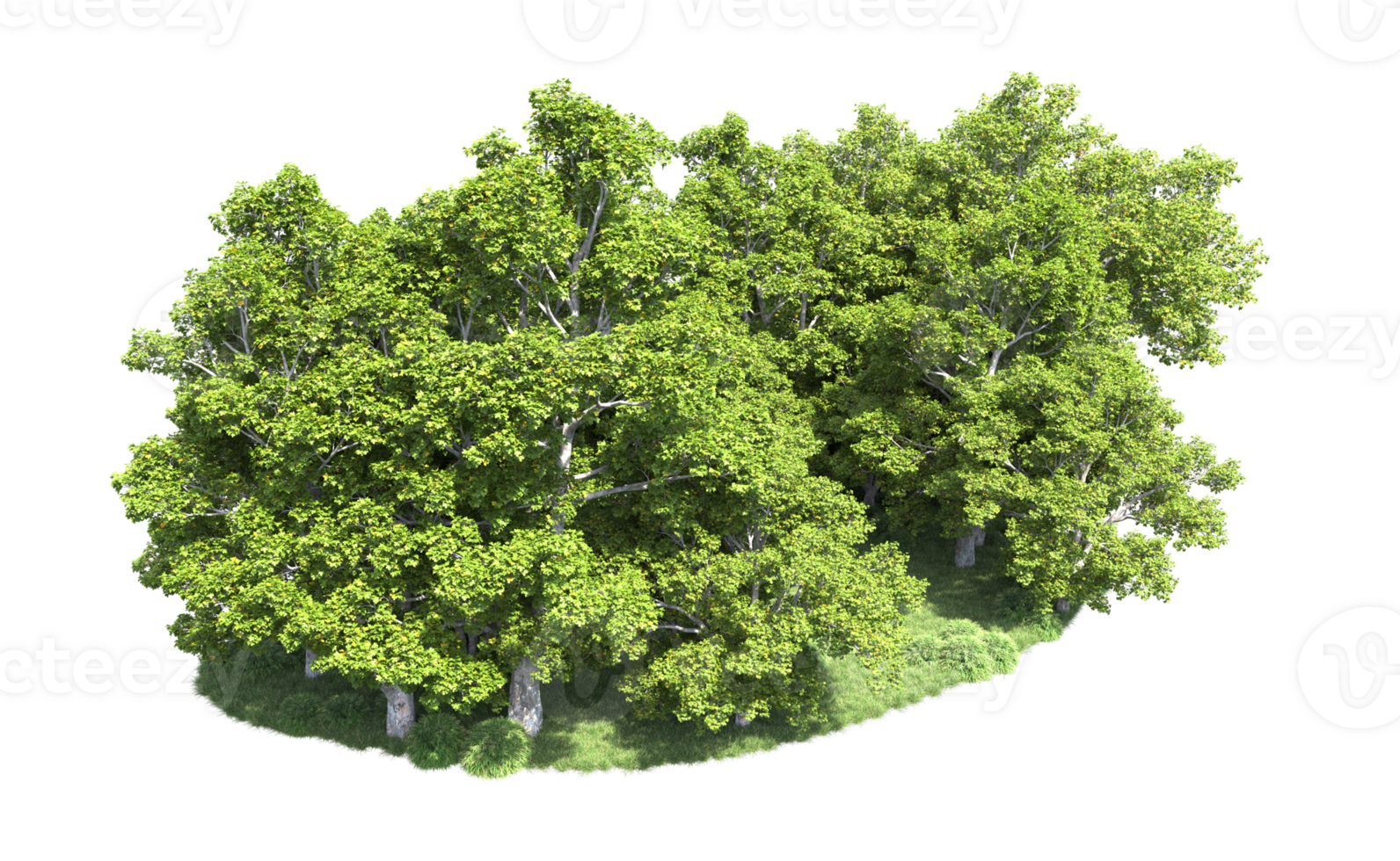 Green forest isolated on background. 3d rendering - illustration png