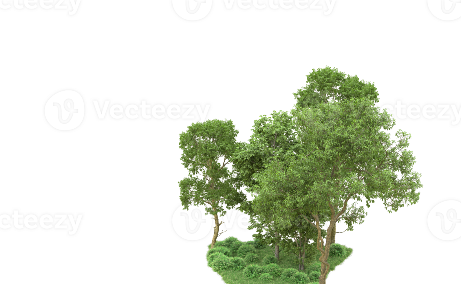 Green forest isolated on background. 3d rendering - illustration png