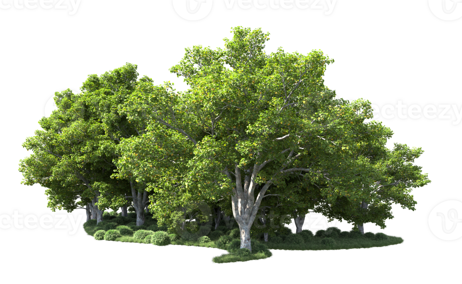 Green forest isolated on background. 3d rendering - illustration png
