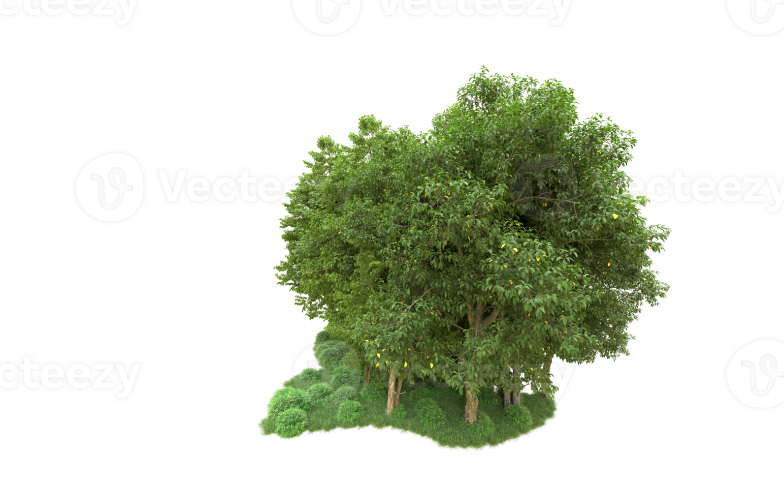 Green forest isolated on background. 3d rendering - illustration png