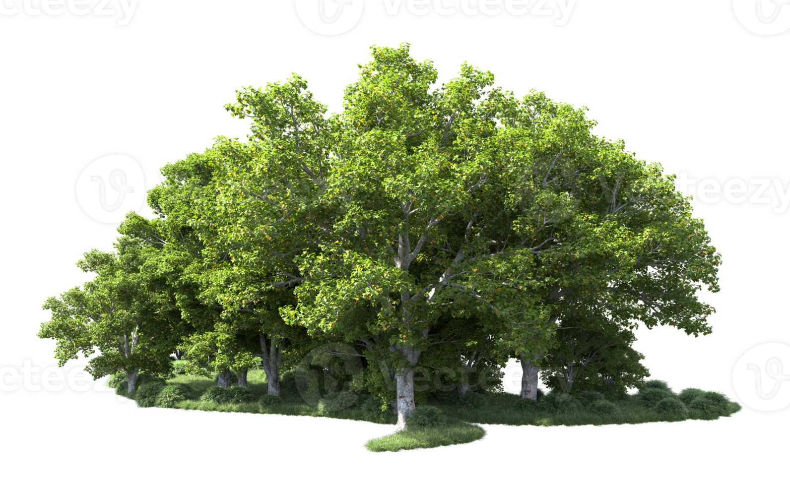 Green forest isolated on background. 3d rendering - illustration png
