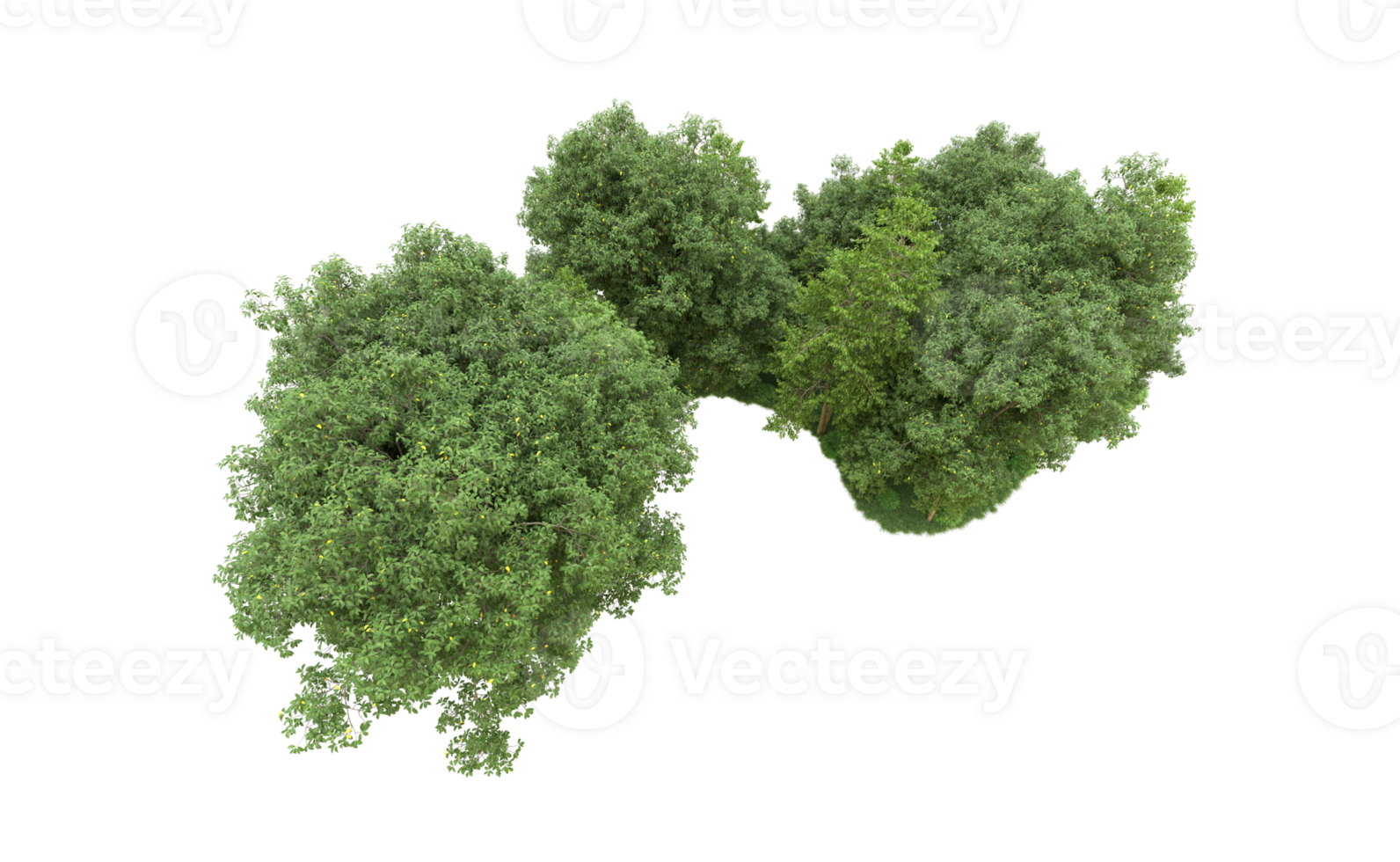 Green forest isolated on background. 3d rendering - illustration png