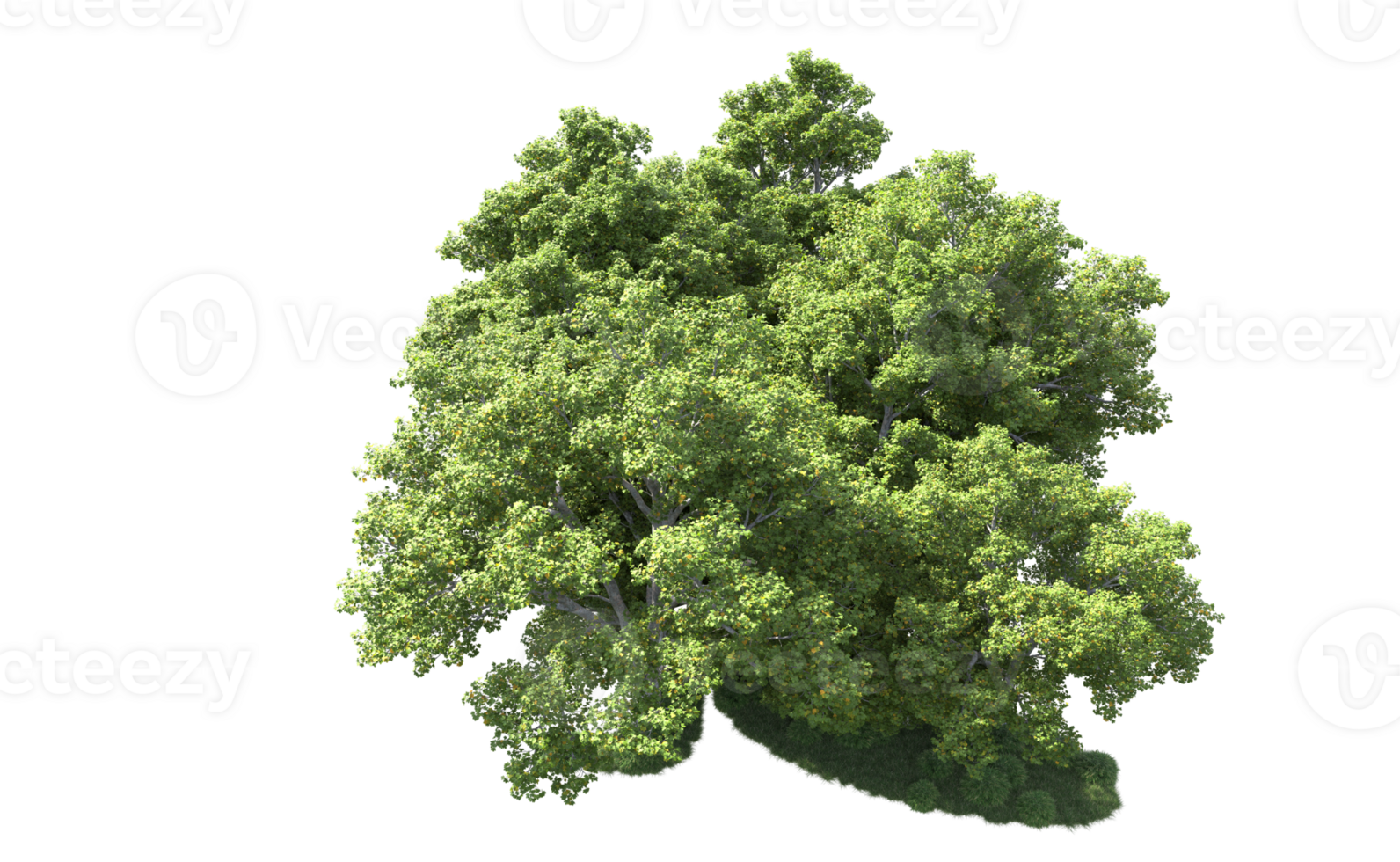 Green forest isolated on background. 3d rendering - illustration png