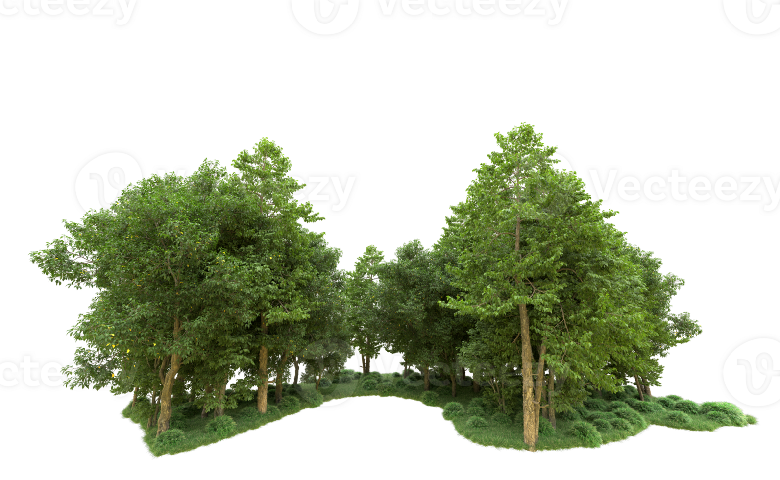 Green forest isolated on background. 3d rendering - illustration png