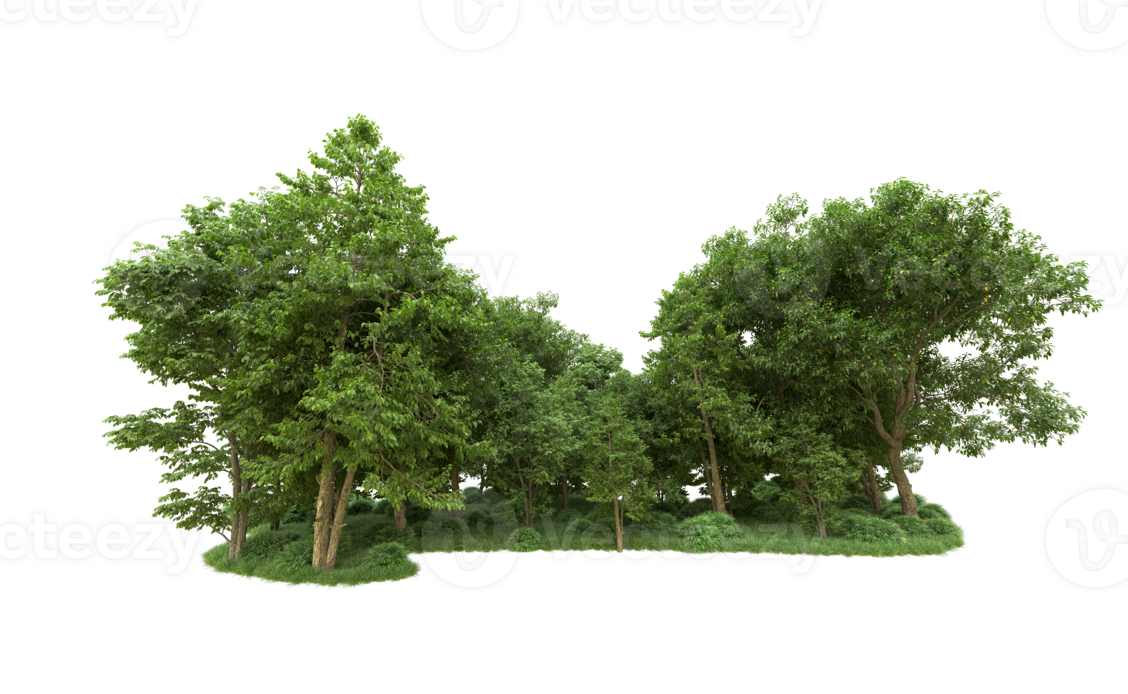 Green forest isolated on background. 3d rendering - illustration png