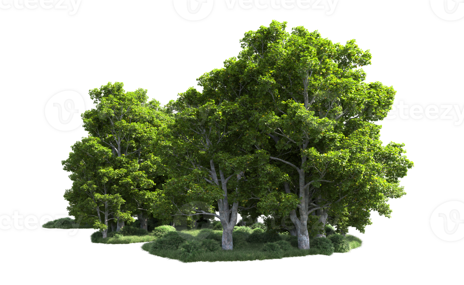 Green forest isolated on background. 3d rendering - illustration png