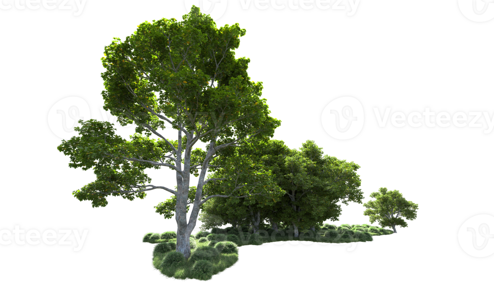 Green forest isolated on background. 3d rendering - illustration png