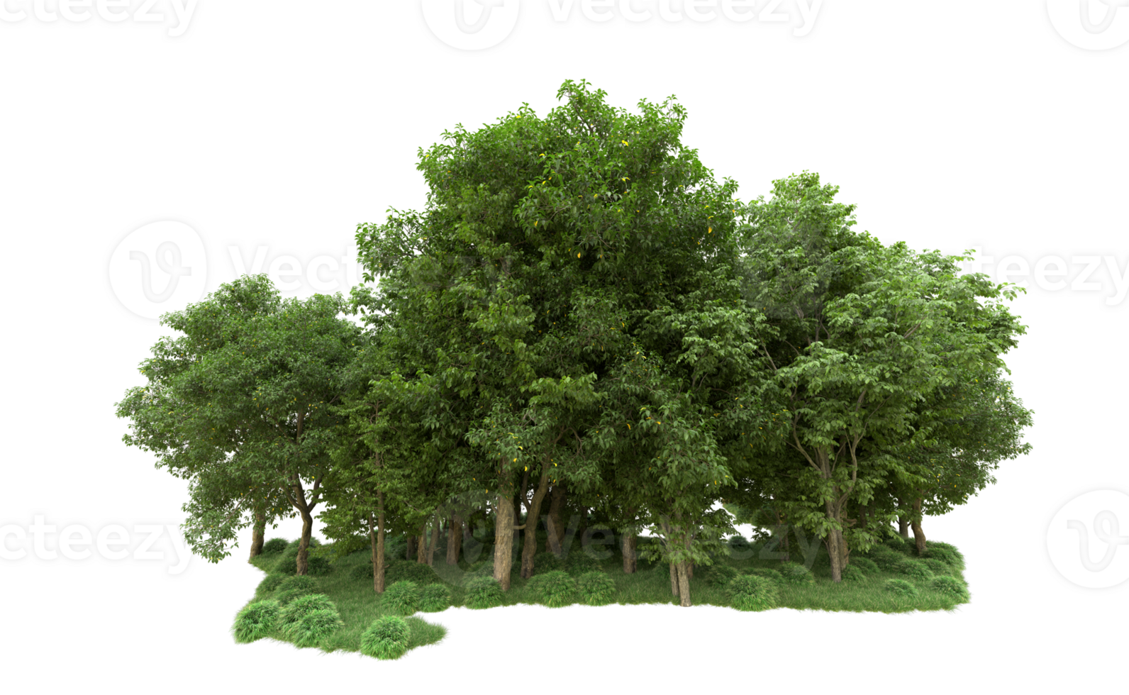 Green forest isolated on background. 3d rendering - illustration png