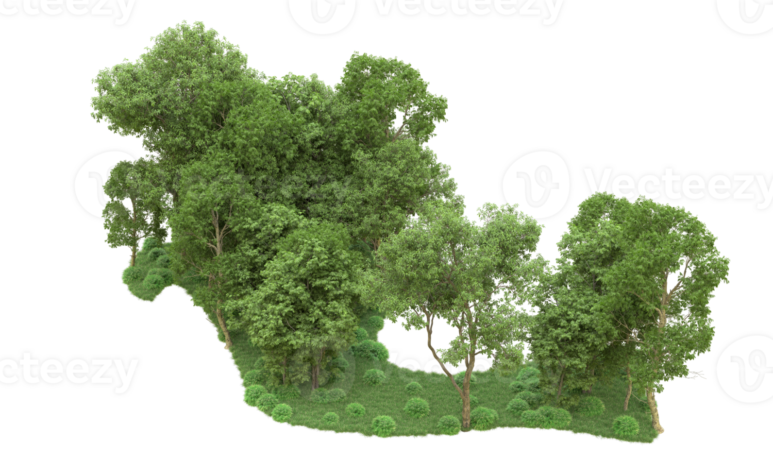 Green forest isolated on background. 3d rendering - illustration png