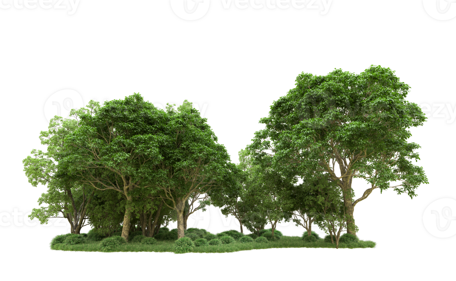 Green forest isolated on background. 3d rendering - illustration png