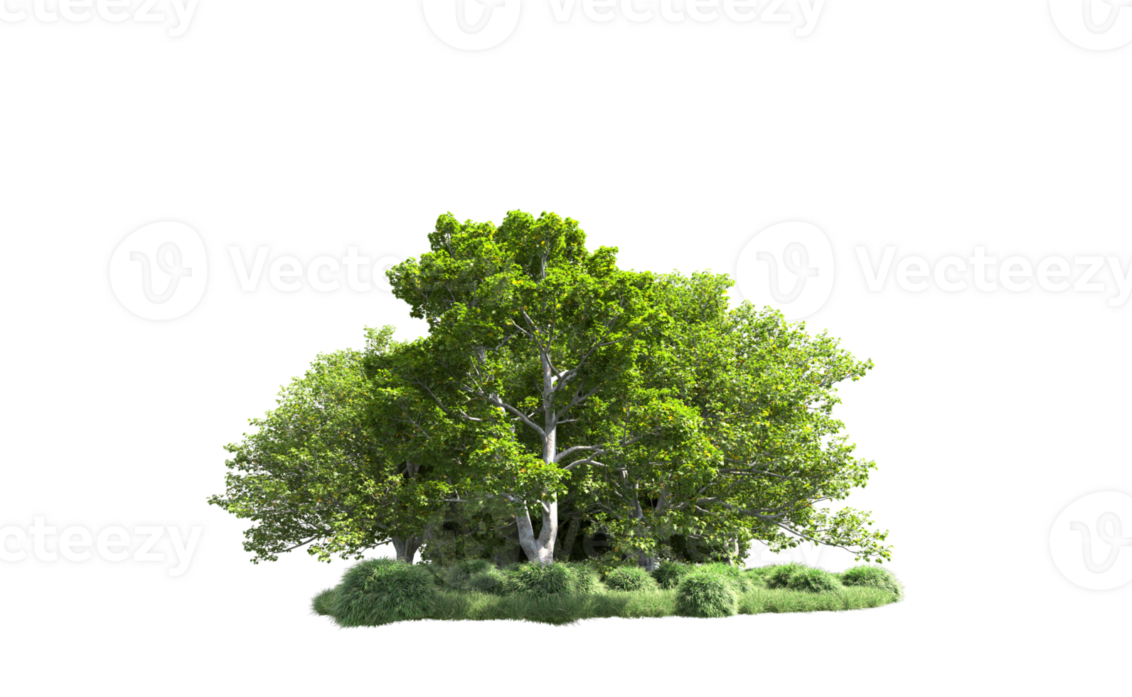 Green forest isolated on background. 3d rendering - illustration png