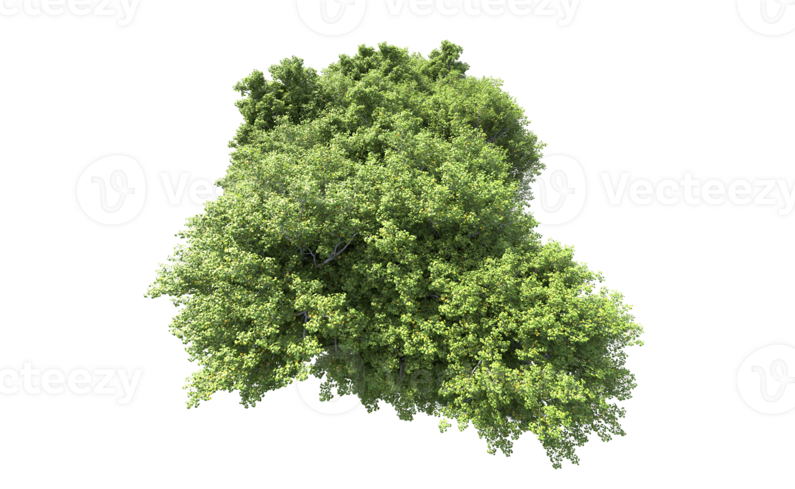 Green forest isolated on background. 3d rendering - illustration png