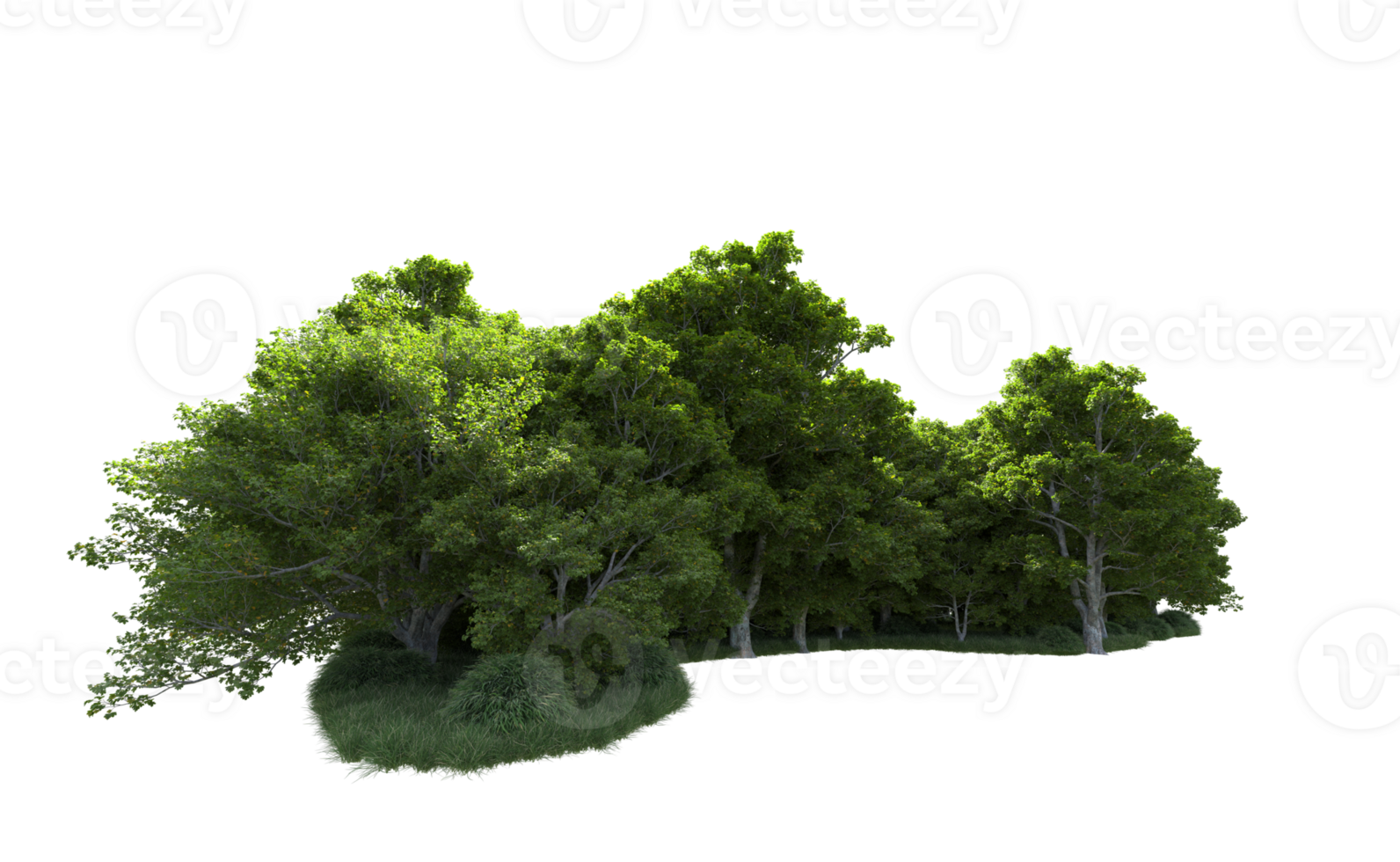 Green forest isolated on background. 3d rendering - illustration png