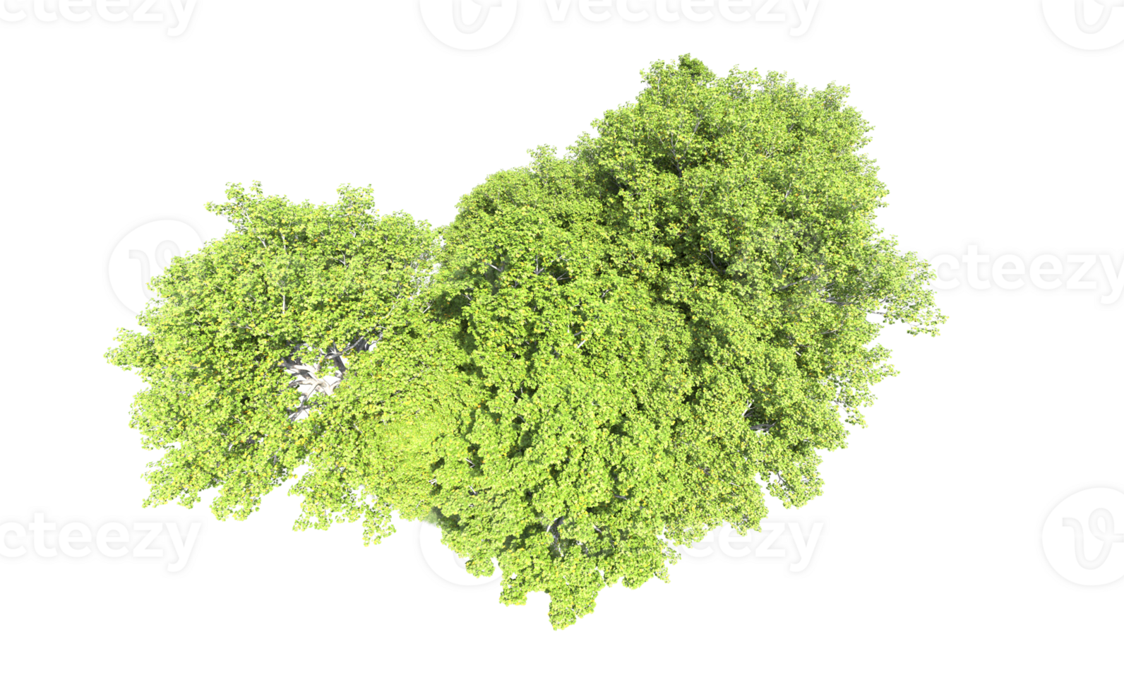 Green forest isolated on background. 3d rendering - illustration png