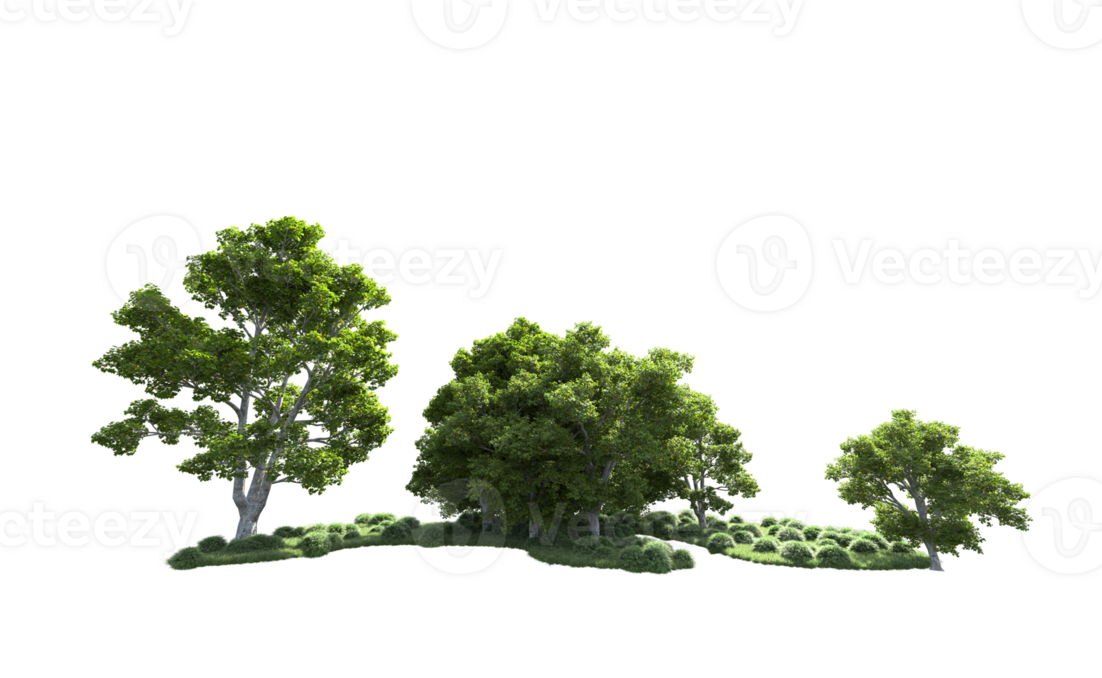 Green forest isolated on background. 3d rendering - illustration png