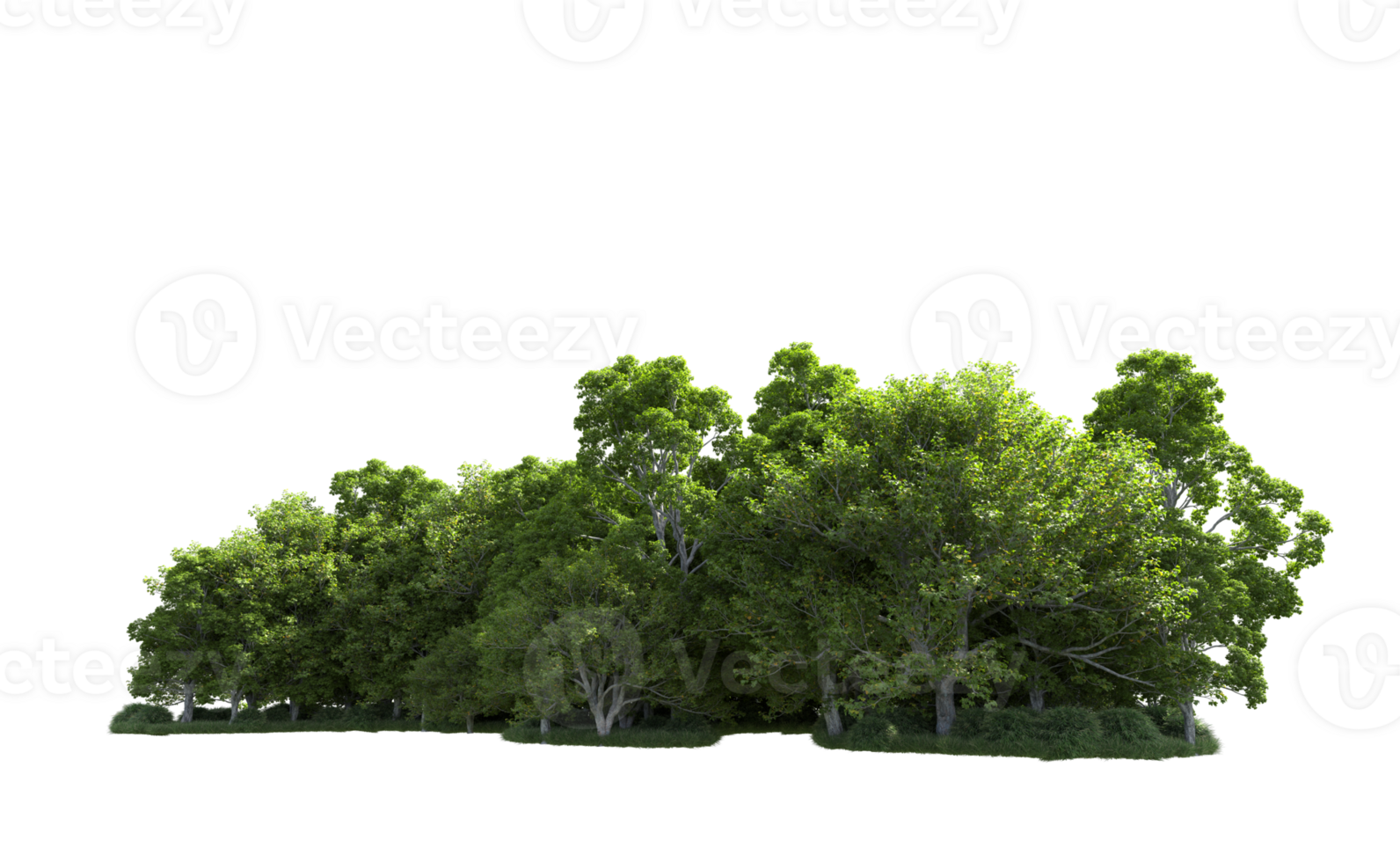 Green forest isolated on background. 3d rendering - illustration png