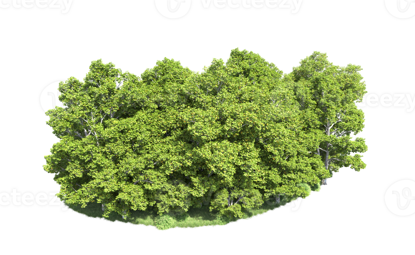 Green forest isolated on background. 3d rendering - illustration png