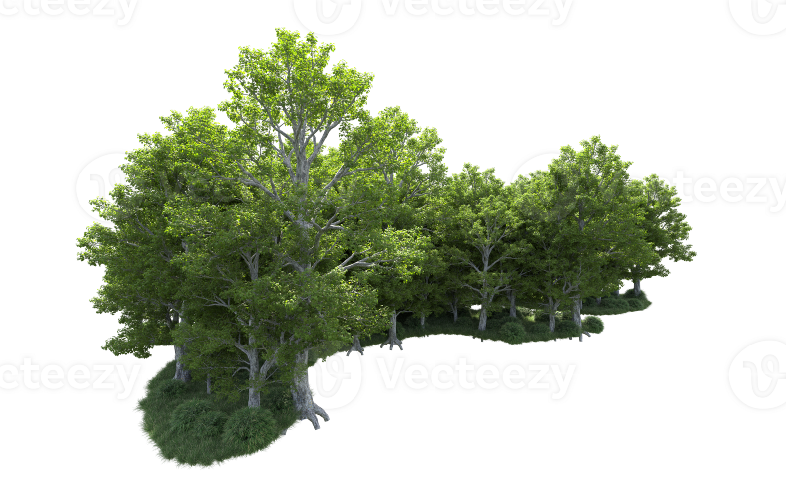 Green forest isolated on background. 3d rendering - illustration png