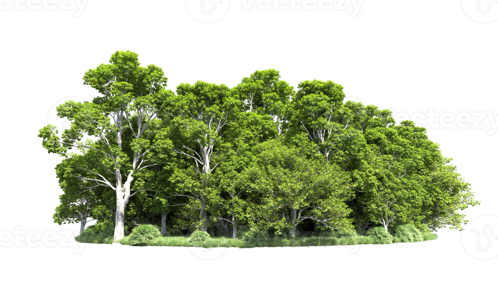 Green forest isolated on background. 3d rendering - illustration png