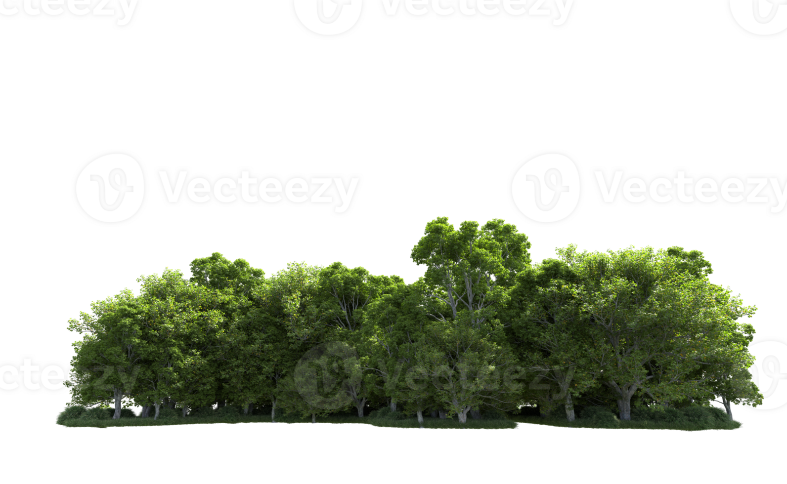 Green forest isolated on background. 3d rendering - illustration png