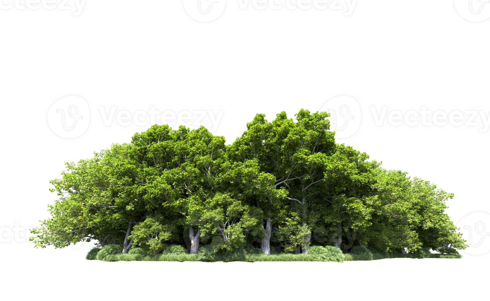 Green forest isolated on background. 3d rendering - illustration png
