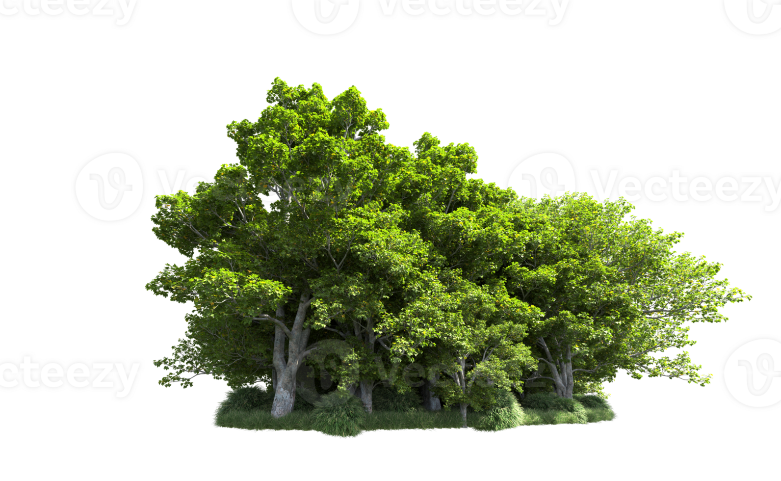 Green forest isolated on background. 3d rendering - illustration png