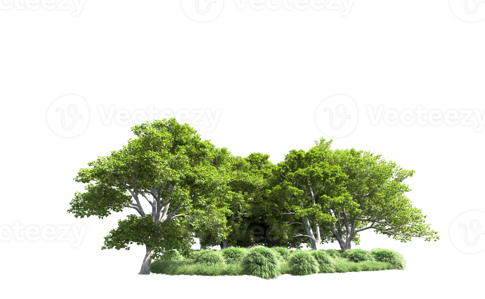 Green forest isolated on background. 3d rendering - illustration png