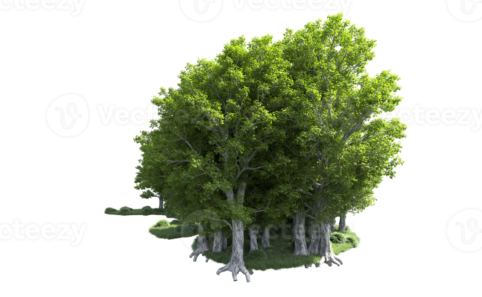 Green forest isolated on background. 3d rendering - illustration png