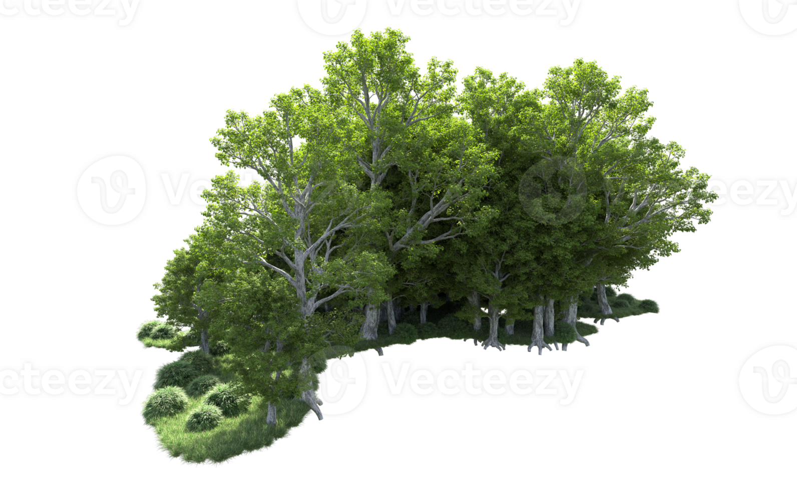 Green forest isolated on background. 3d rendering - illustration png
