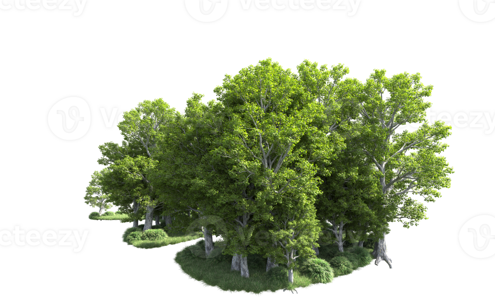 Green forest isolated on background. 3d rendering - illustration png