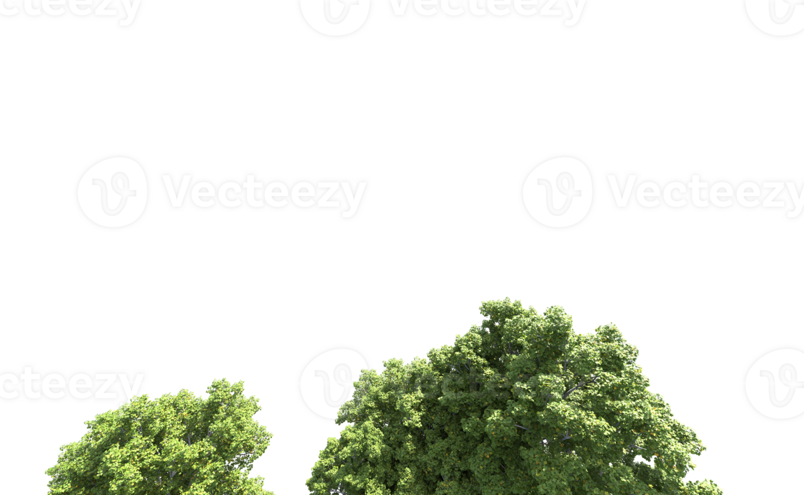 Green forest isolated on background. 3d rendering - illustration png