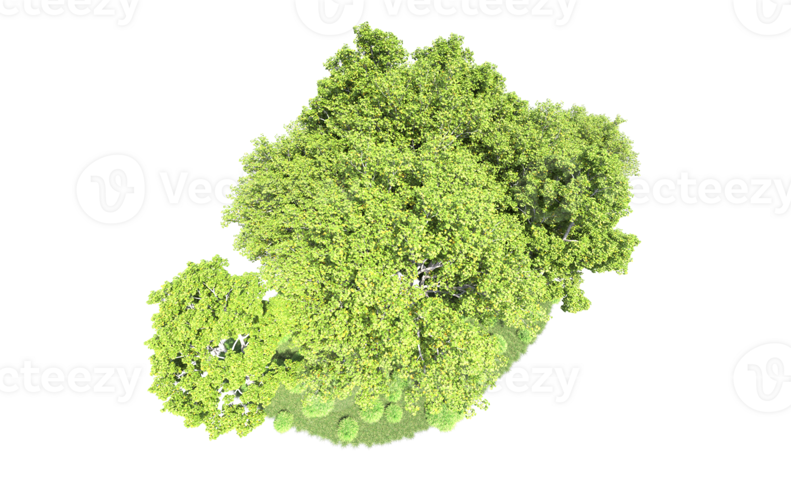 Green forest isolated on background. 3d rendering - illustration png
