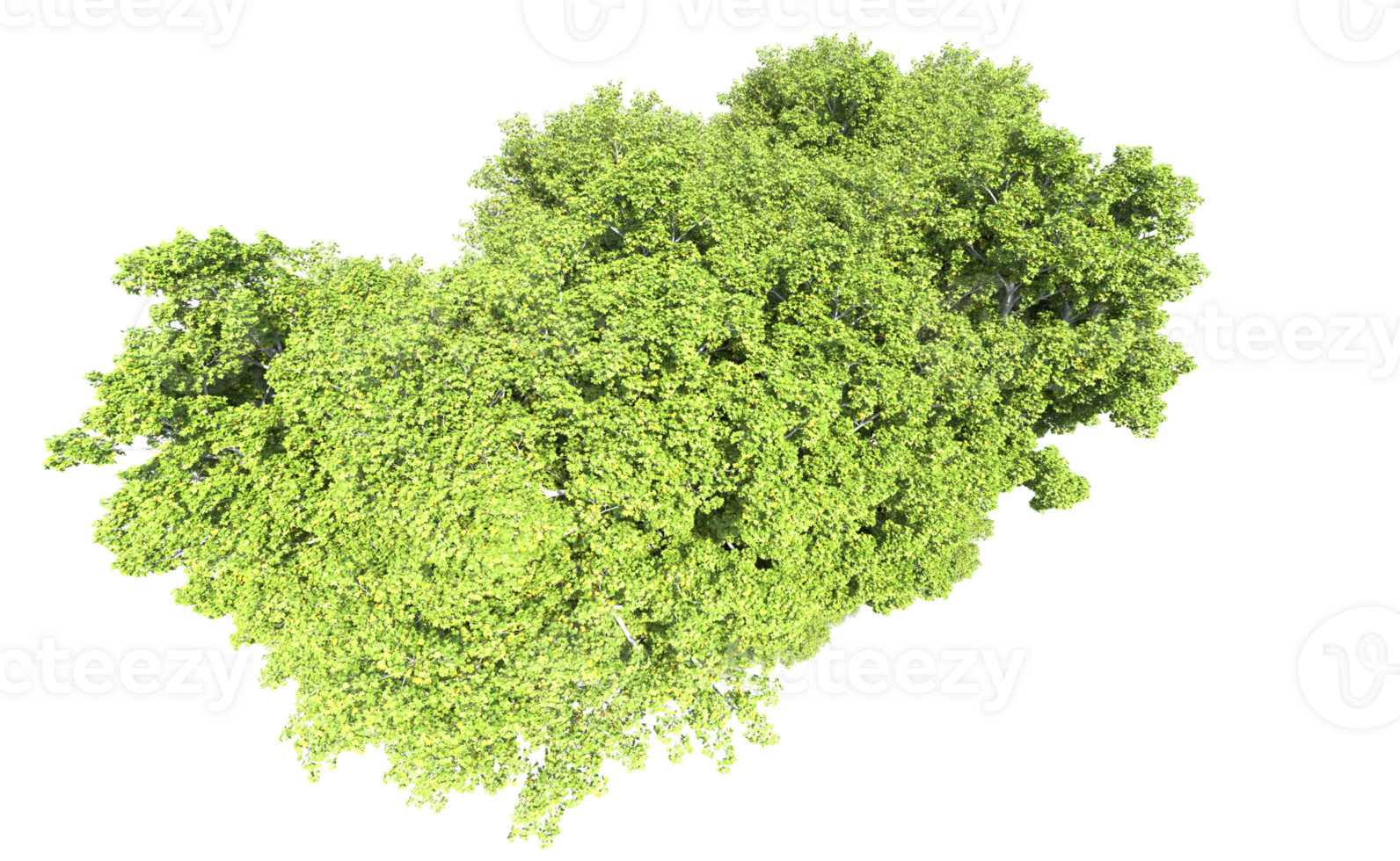 Green forest isolated on background. 3d rendering - illustration png