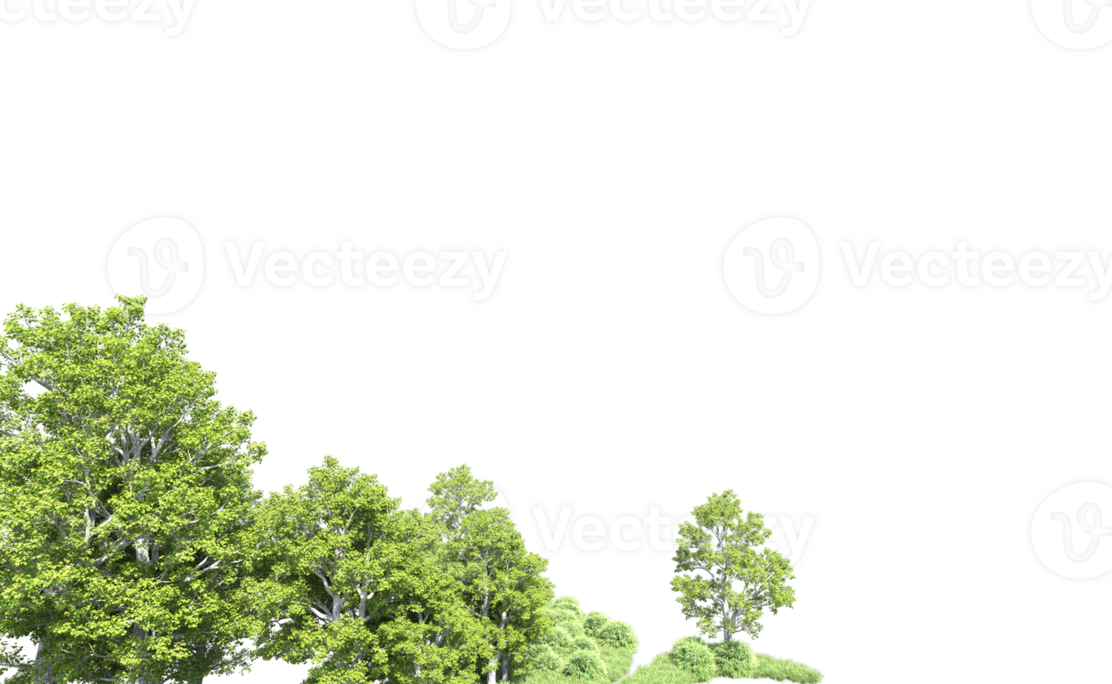 Green forest isolated on background. 3d rendering - illustration png