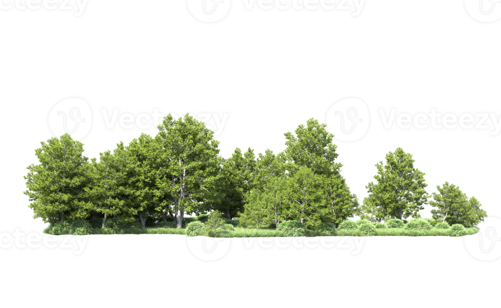 Green forest isolated on background. 3d rendering - illustration png