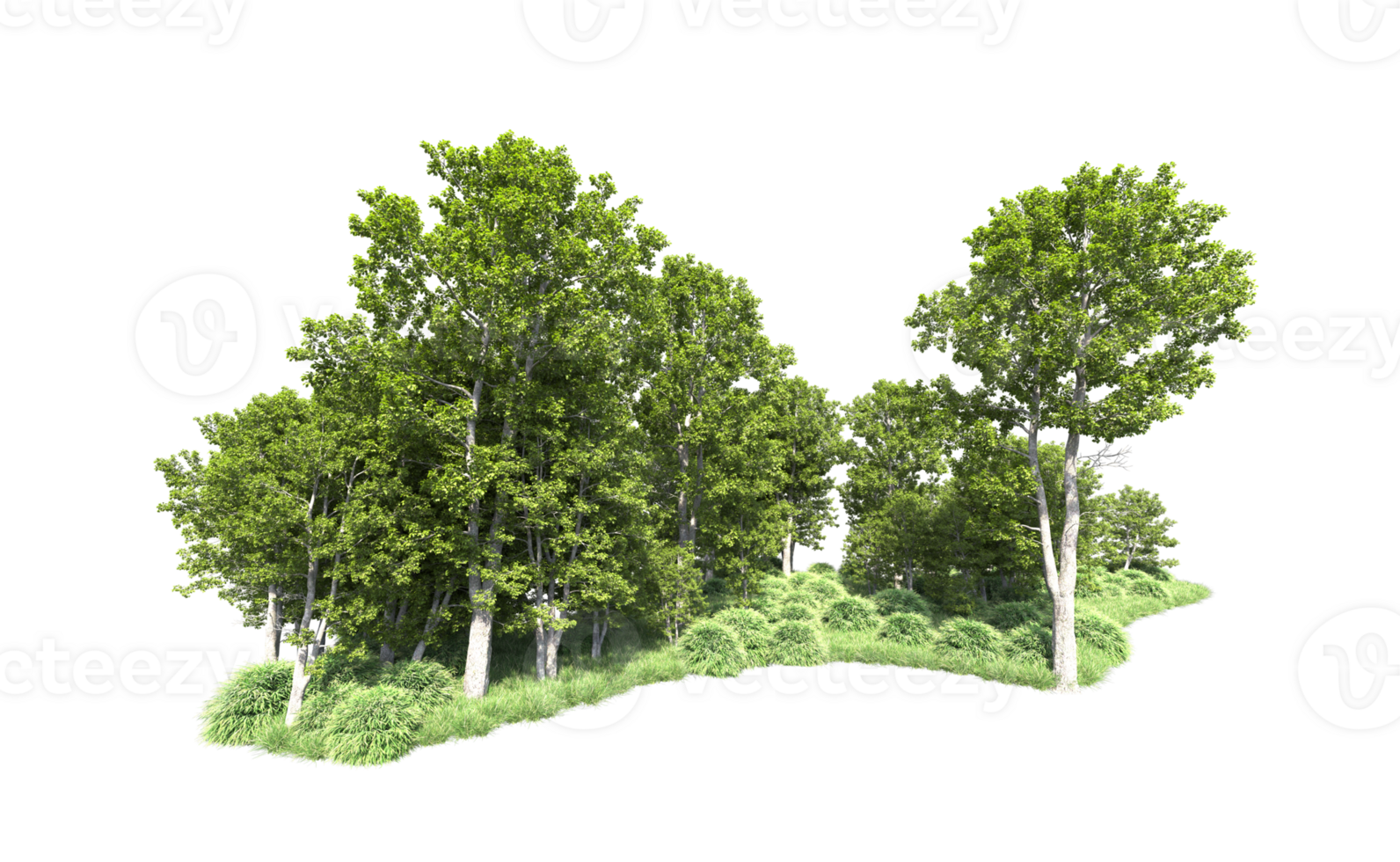 Green forest isolated on background. 3d rendering - illustration png