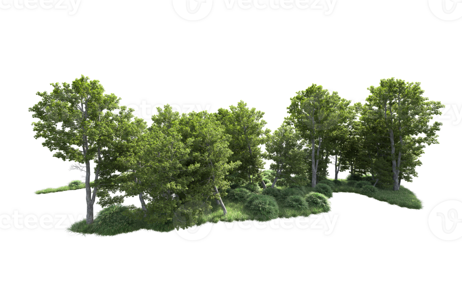 Green forest isolated on background. 3d rendering - illustration png