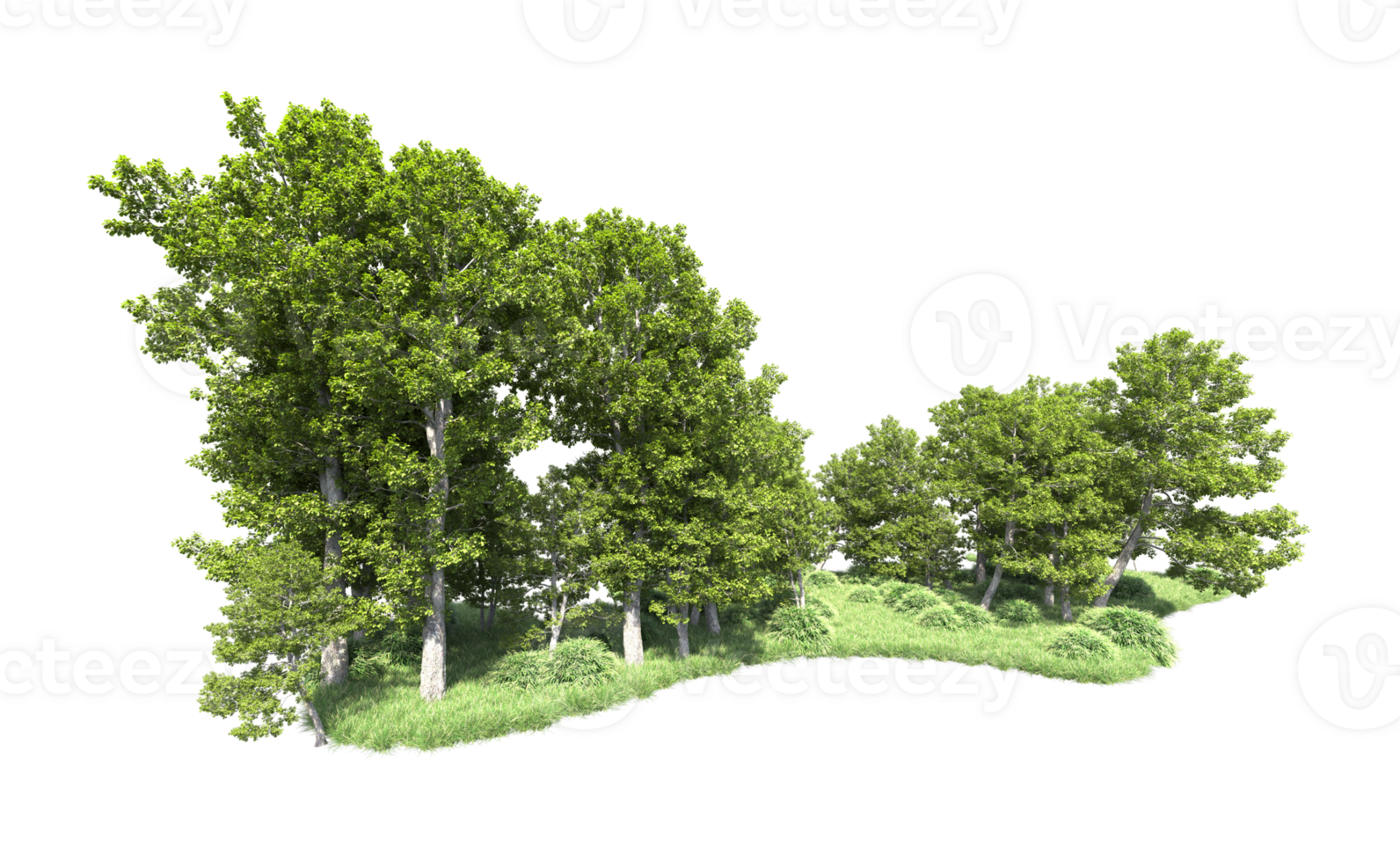 Green forest isolated on background. 3d rendering - illustration png