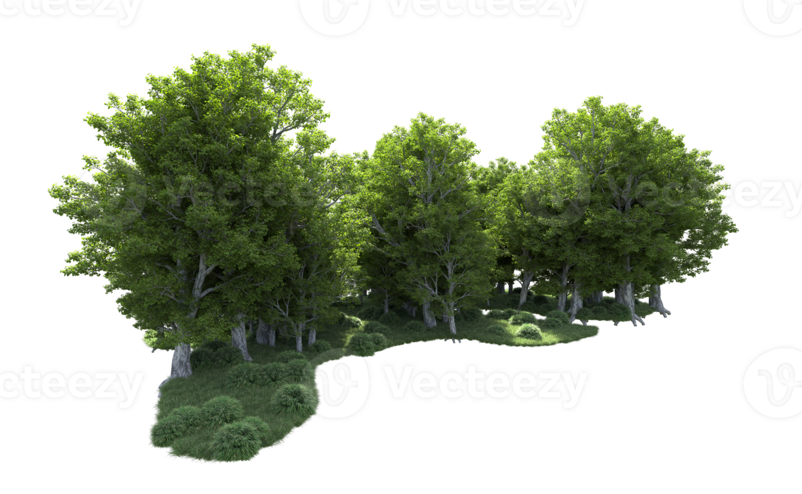 Green forest isolated on background. 3d rendering - illustration png