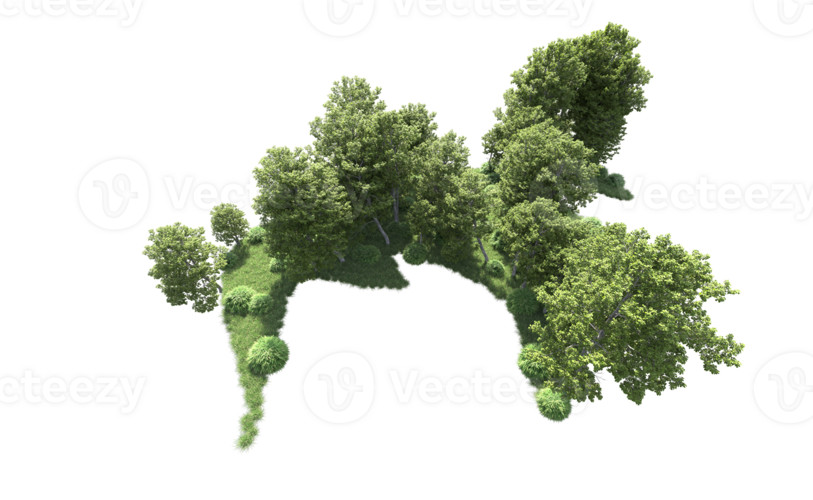 verde foresta isolato su sfondo. 3d interpretazione - illustrazione png