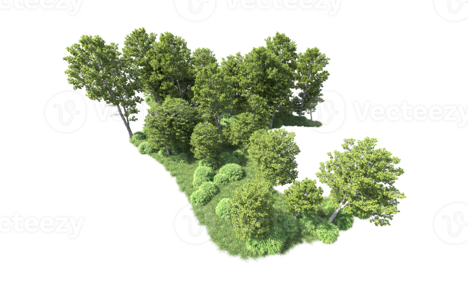 Green forest isolated on background. 3d rendering - illustration png