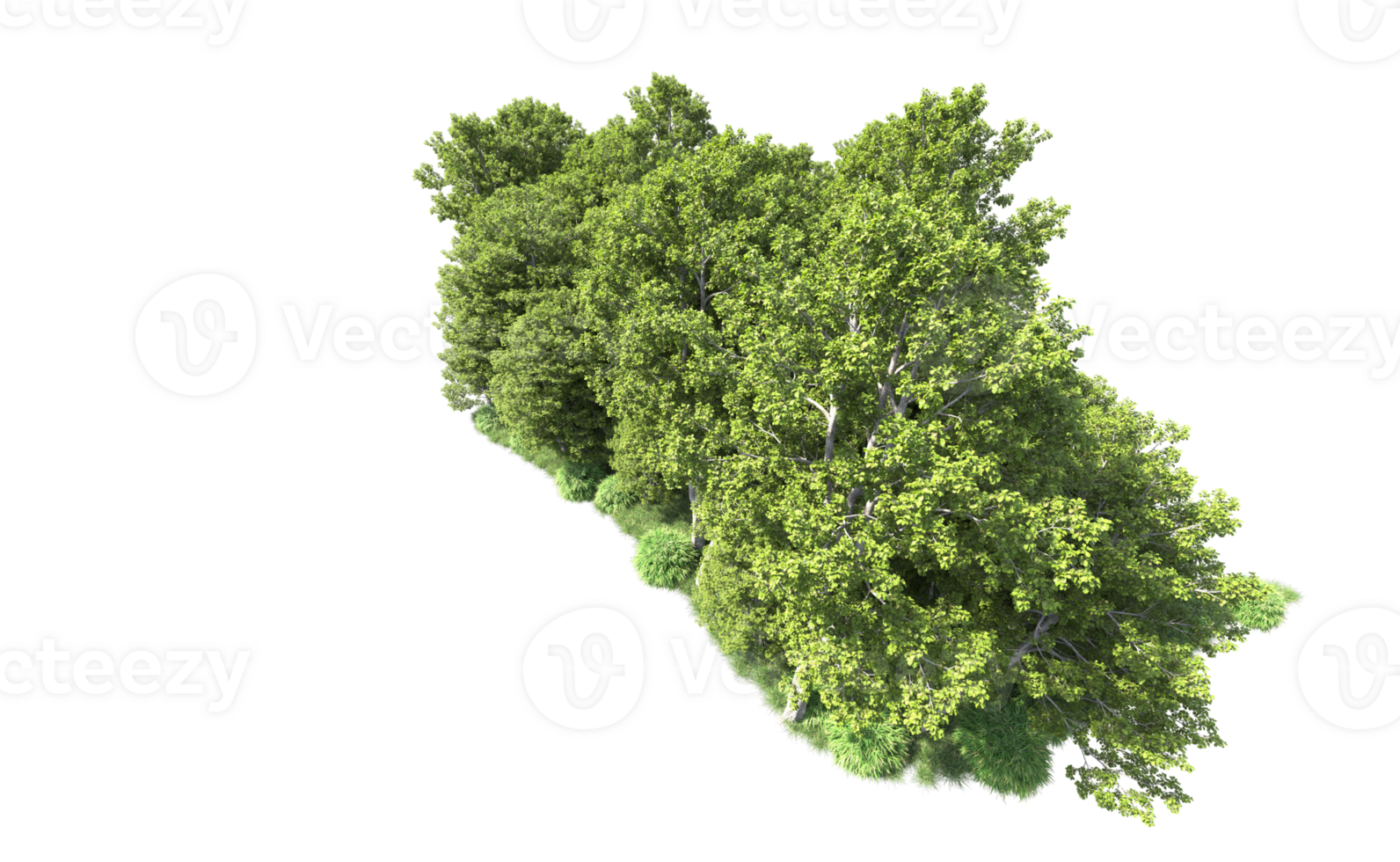 Green forest isolated on background. 3d rendering - illustration png