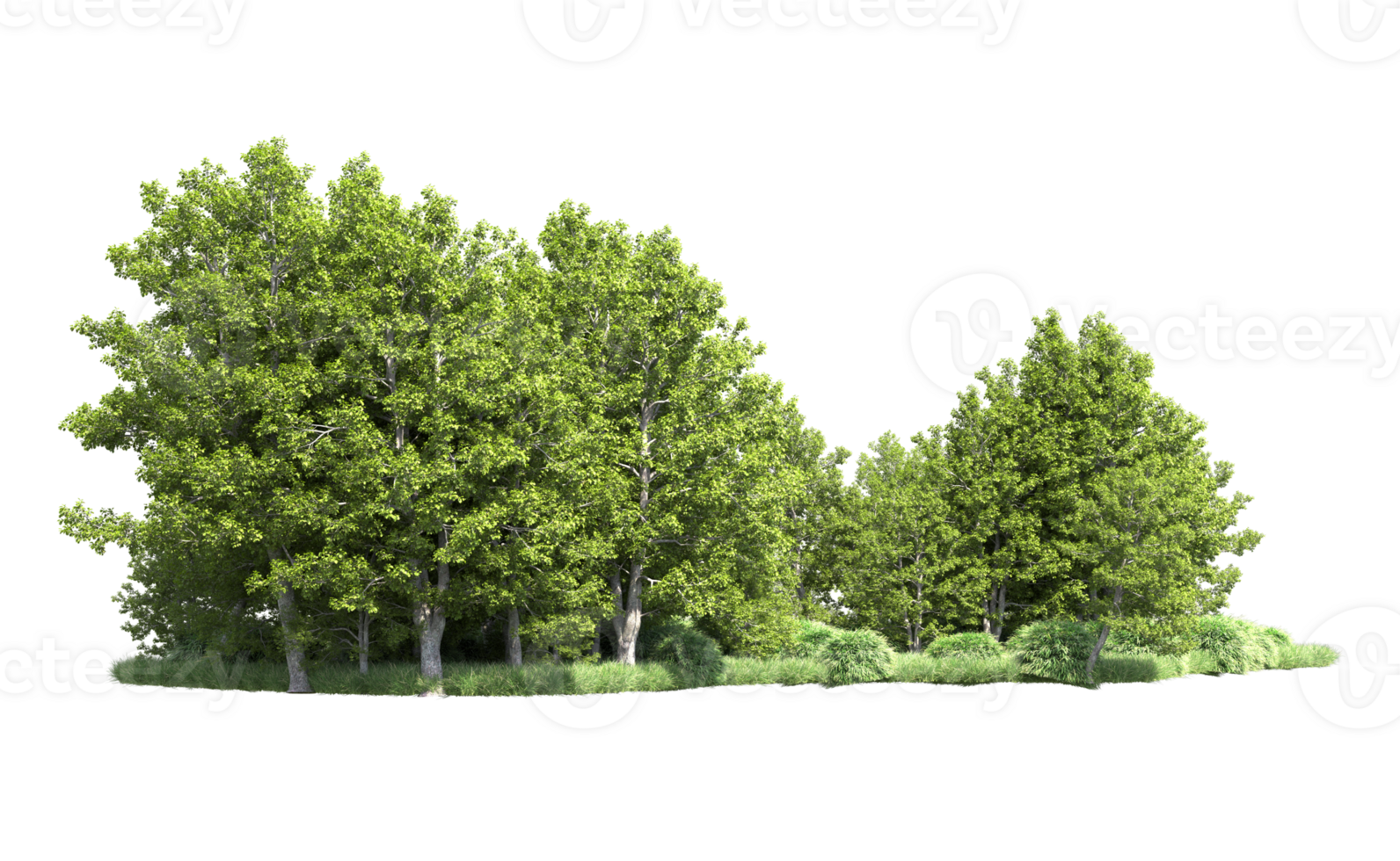 Green forest isolated on background. 3d rendering - illustration png