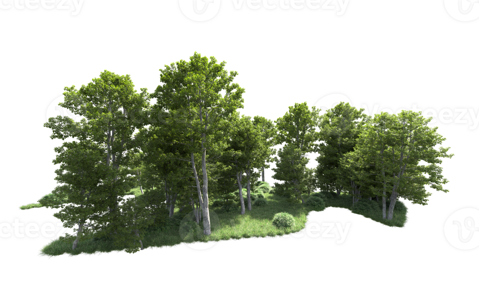 Green forest isolated on background. 3d rendering - illustration png