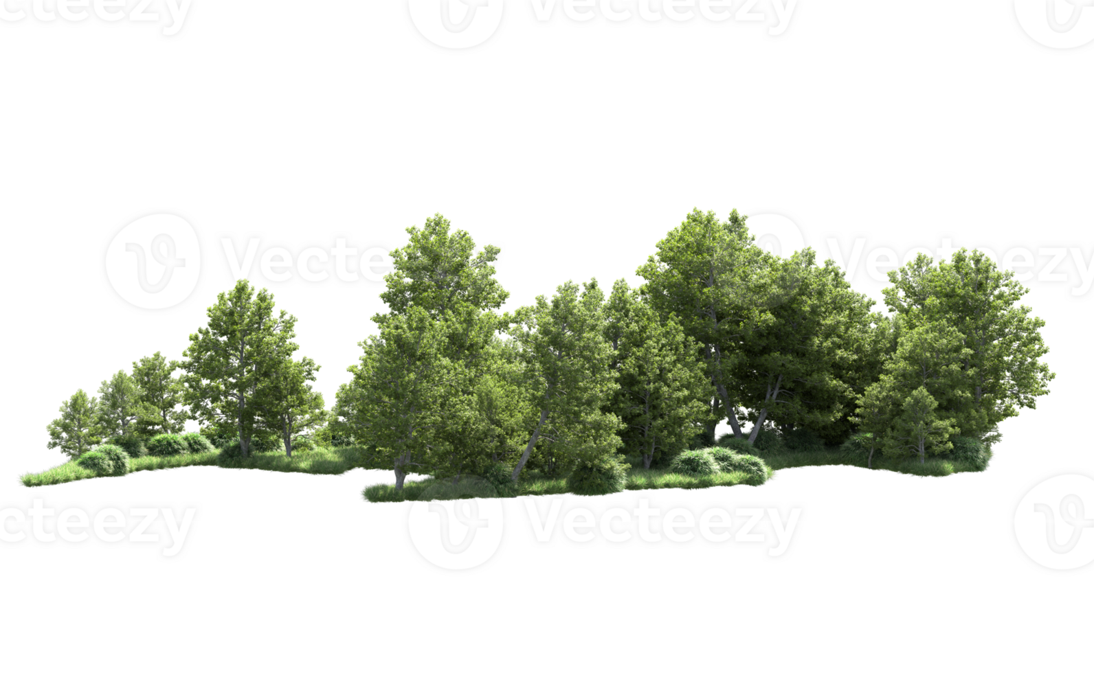 Green forest isolated on background. 3d rendering - illustration png