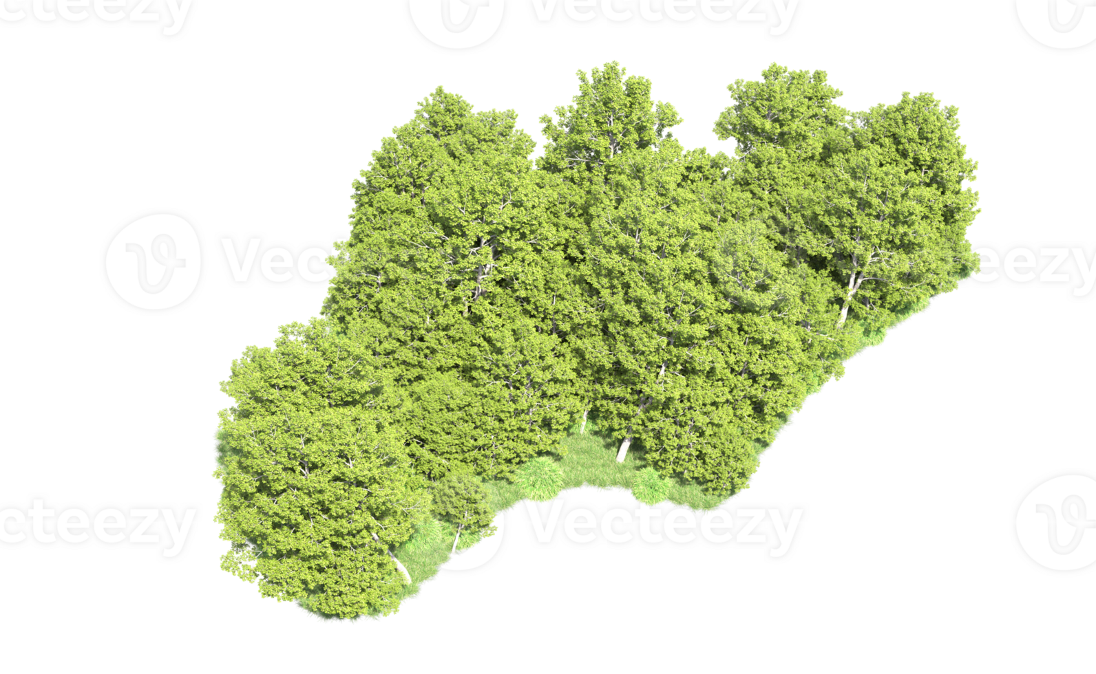 Green forest isolated on background. 3d rendering - illustration png